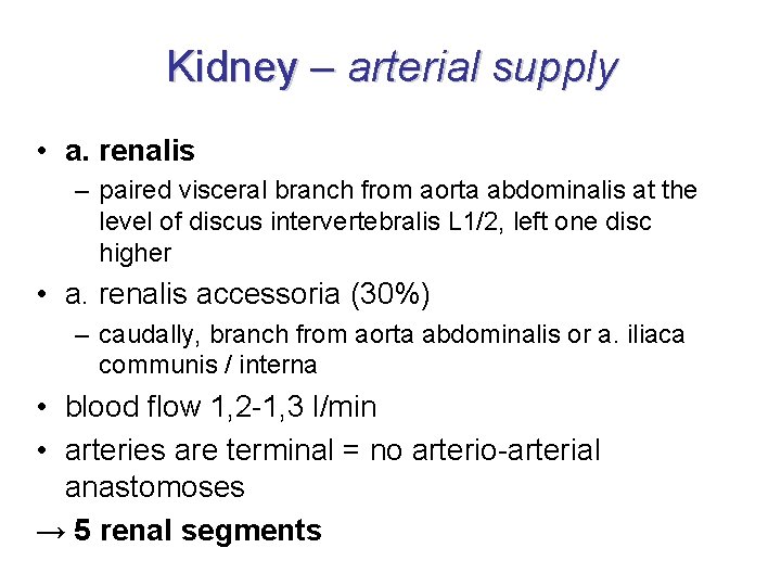 Kidney – arterial supply • a. renalis – paired visceral branch from aorta abdominalis Kidney – arterial supply • a. renalis – paired visceral branch from aorta abdominalis