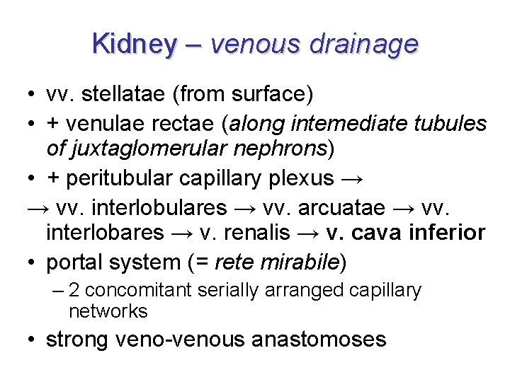 Kidney – venous drainage • vv. stellatae (from surface) • + venulae rectae (along Kidney – venous drainage • vv. stellatae (from surface) • + venulae rectae (along