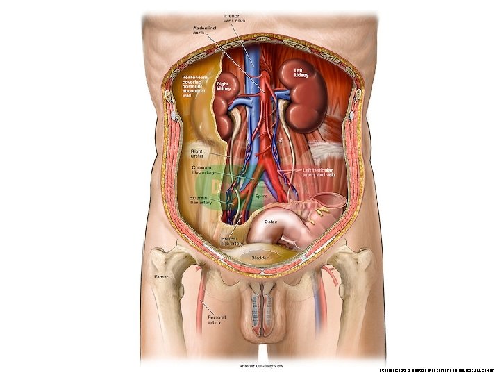 http: //doctorstock. photoshelter. com/image/I 0000 zjc. QLOxa. Hq. Y http: //doctorstock. photoshelter. com/image/I 0000 zjc. QLOxa. Hq. Y