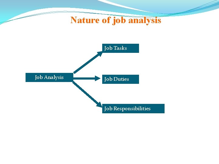 Nature of job analysis Job Tasks Job Analysis Job Duties Job Responsibilities 