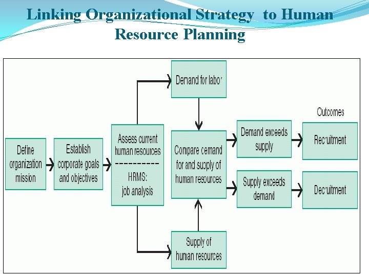 Linking Organizational Strategy to Human Resource Planning 