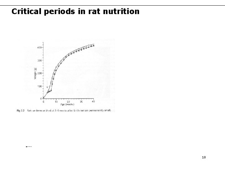 Critical periods in rat nutrition Source : Figures 2. 2 and 2. 3, Barker Critical periods in rat nutrition Source : Figures 2. 2 and 2. 3, Barker
