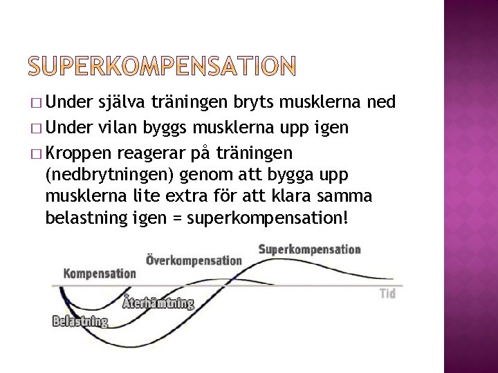 � Under själva träningen bryts musklerna ned � Under vilan byggs musklerna upp igen � Under själva träningen bryts musklerna ned � Under vilan byggs musklerna upp igen