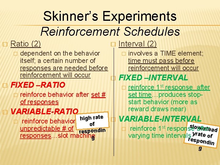 Skinner’s Experiments Reinforcement Schedules � Ratio (2) � Interval (2) � involves a TIME