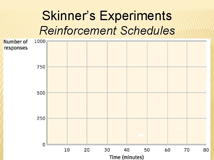 Skinner’s Experiments Reinforcement Schedules 