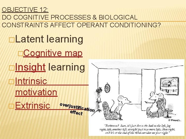 OBJECTIVE 12: DO COGNITIVE PROCESSES & BIOLOGICAL CONSTRAINTS AFFECT OPERANT CONDITIONING? �Latent learning �Cognitive