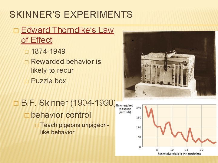 SKINNER’S EXPERIMENTS � Edward Thorndike’s Law of Effect 1874 -1949 � Rewarded behavior is