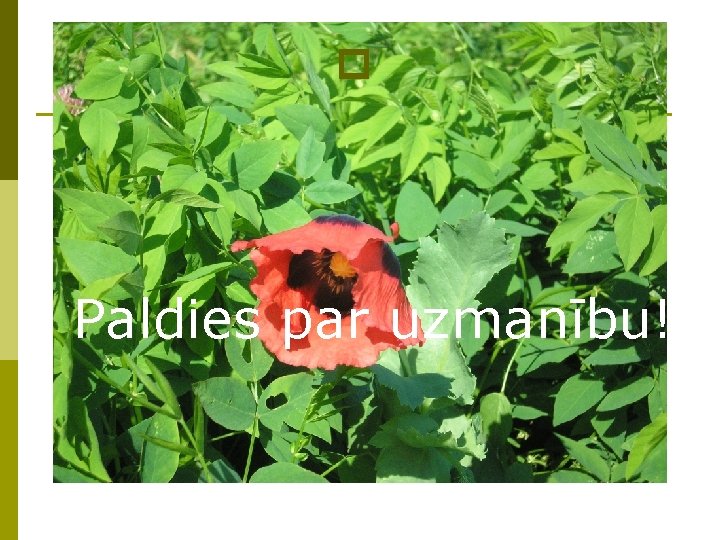 p Paldies par uzmanību! p Paldies par uzmanību!