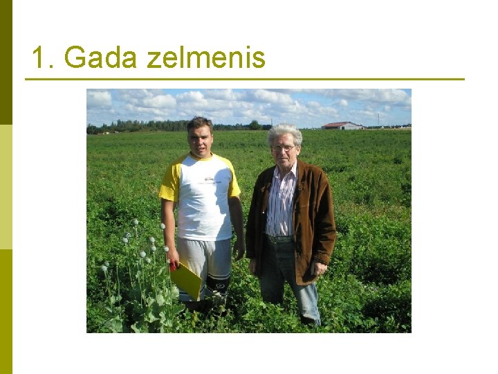 1. Gada zelmenis 