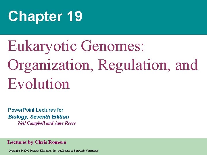 Chapter 19 Eukaryotic Genomes: Organization, Regulation, and Evolution Power. Point Lectures for Biology, Seventh