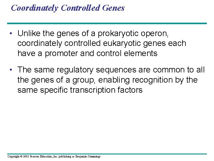Coordinately Controlled Genes • Unlike the genes of a prokaryotic operon, coordinately controlled eukaryotic