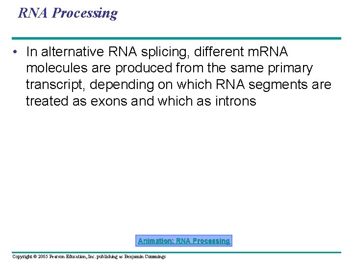 RNA Processing • In alternative RNA splicing, different m. RNA molecules are produced from