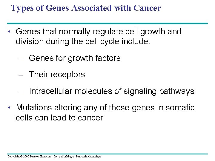 Types of Genes Associated with Cancer • Genes that normally regulate cell growth and