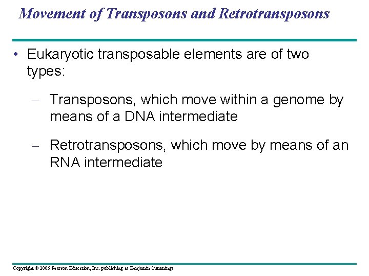 Movement of Transposons and Retrotransposons • Eukaryotic transposable elements are of two types: –