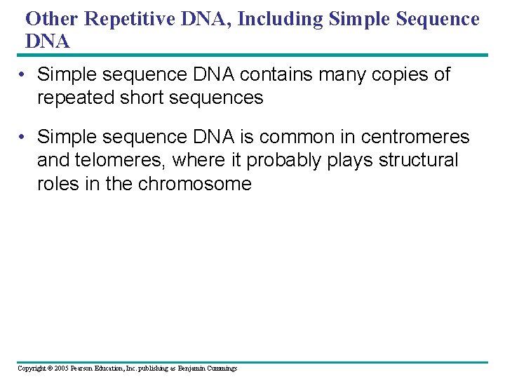Other Repetitive DNA, Including Simple Sequence DNA • Simple sequence DNA contains many copies