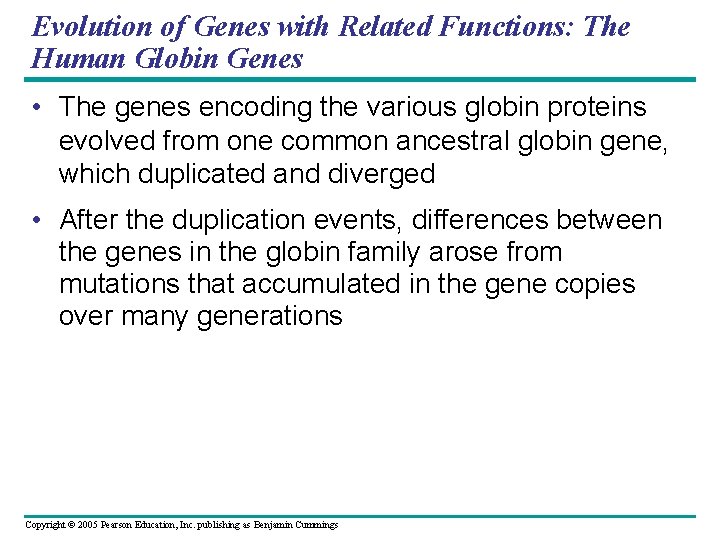 Evolution of Genes with Related Functions: The Human Globin Genes • The genes encoding