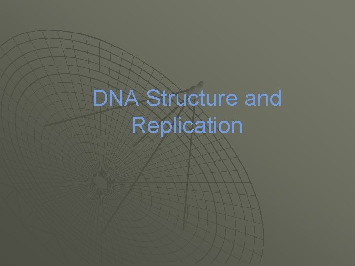 DNA Structure and Replication 