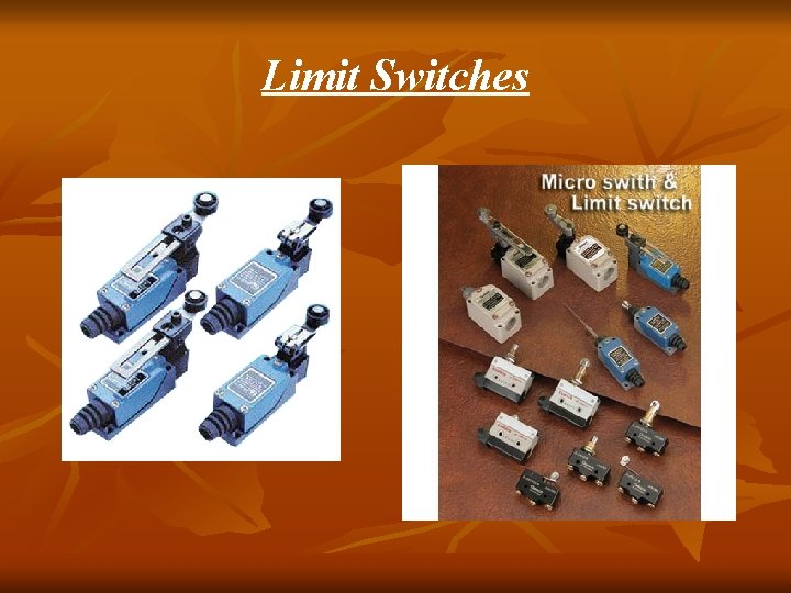 Limit Switches Limit Switches