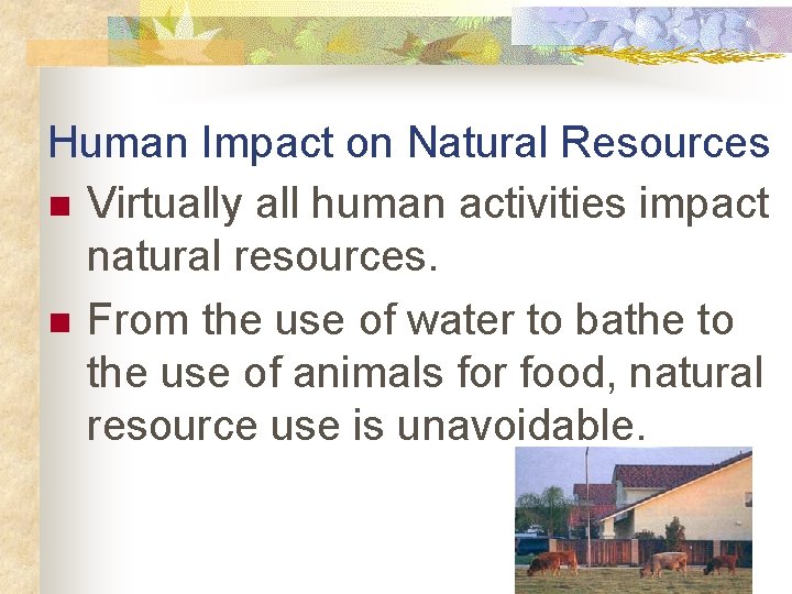 Human Impact on Natural Resources n Virtually all human activities impact natural resources. n