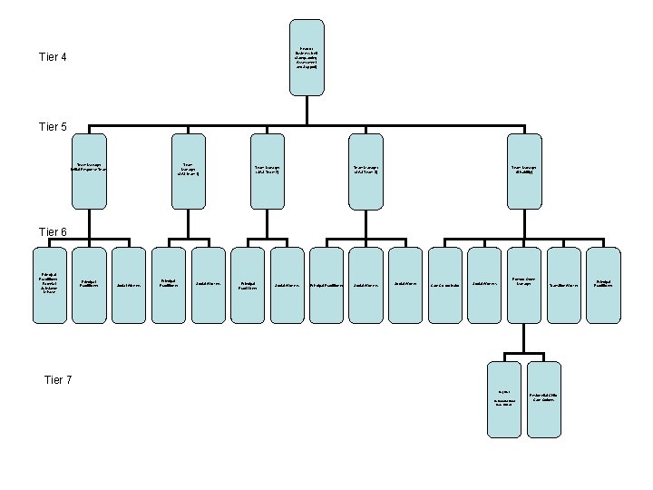Head of Business Unit (Safeguarding, Assessment and Support) Tier 4 Tier 5 Team Manager