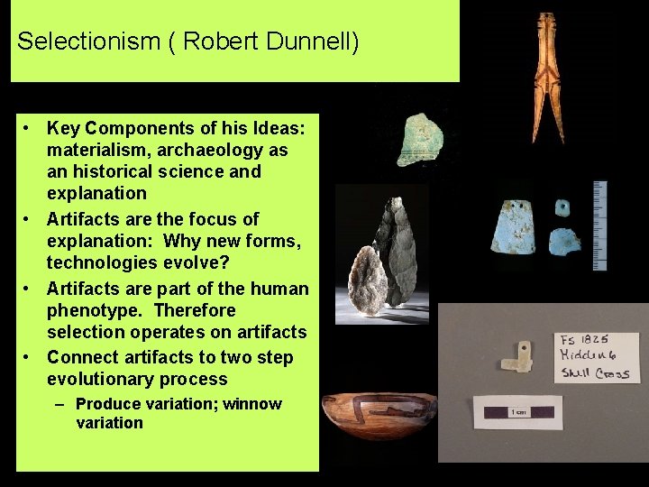 Selectionism ( Robert Dunnell) • Key Components of his Ideas: materialism, archaeology as an
