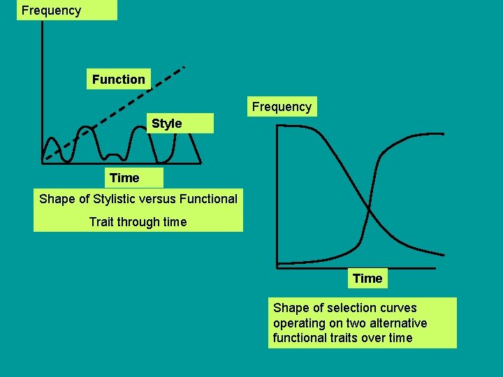 Frequency Function Frequency Style Time Shape of Stylistic versus Functional Trait through time Time