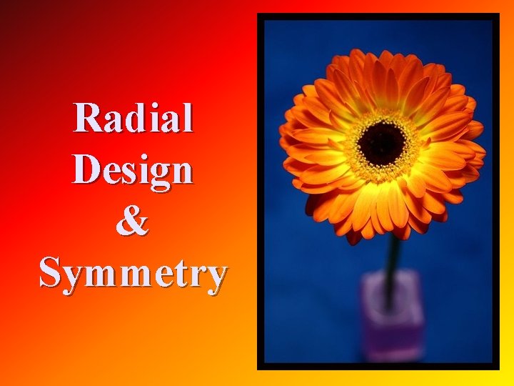 Radial Design & Symmetry 