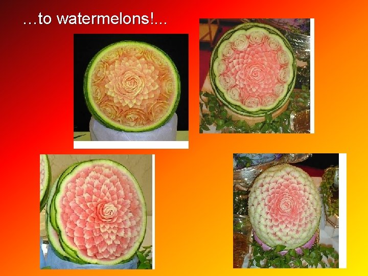 …to watermelons!. . . 