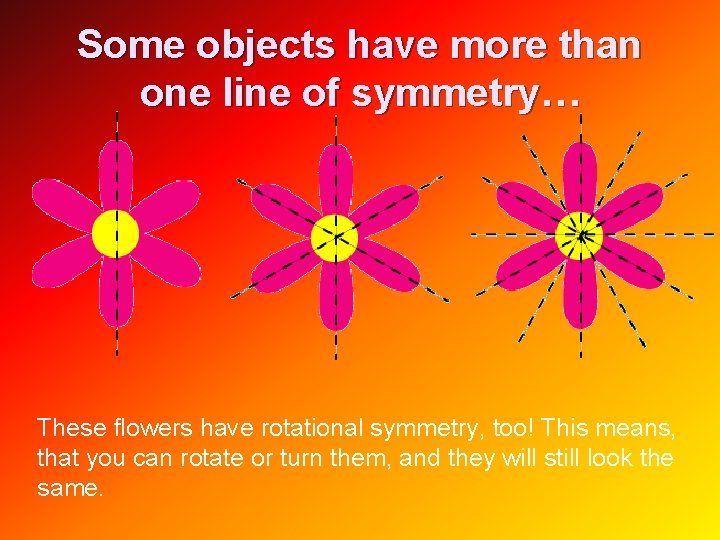Some objects have more than one line of symmetry… These flowers have rotational symmetry,