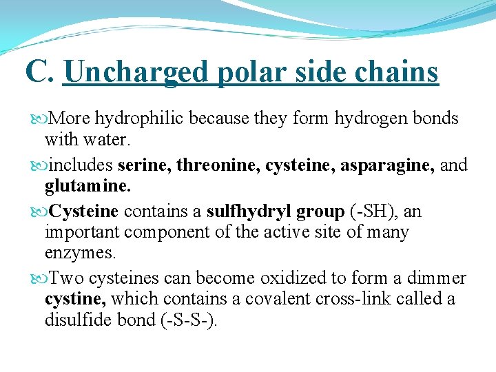 C. Uncharged polar side chains More hydrophilic because they form hydrogen bonds with water.