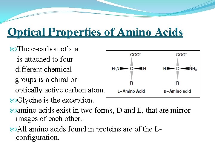 Optical Properties of Amino Acids The α-carbon of a. a. is attached to four