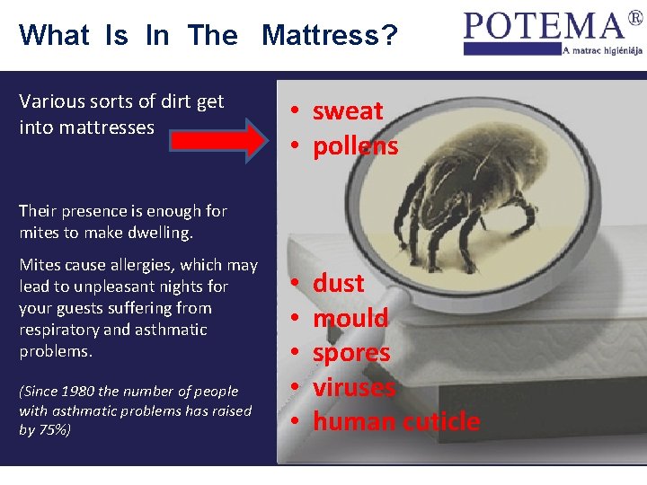 What Is In The Mattress? Various sorts of dirt get into mattresses • sweat