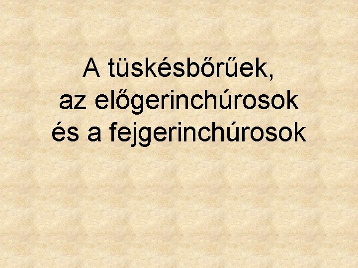 A tüskésbőrűek, az előgerinchúrosok és a fejgerinchúrosok 