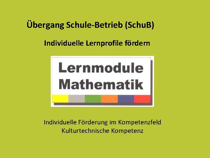 Übergang Schule-Betrieb (Schu. B) Individuelle Lernprofile fördern Individuelle Förderung im Kompetenzfeld Kulturtechnische Kompetenz 