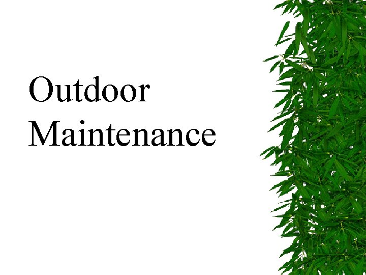 Outdoor Maintenance 