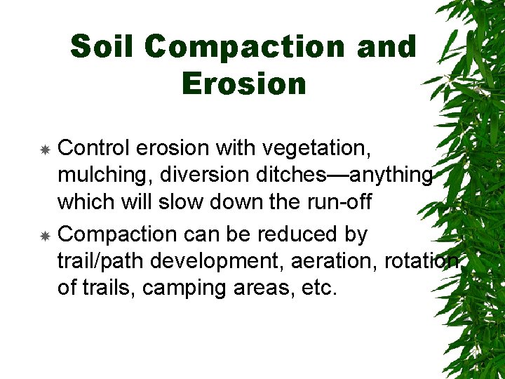 Soil Compaction and Erosion Control erosion with vegetation, mulching, diversion ditches—anything which will slow