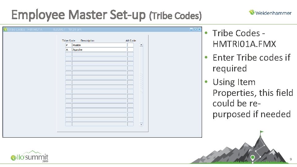 Employee Master Set-up (Tribe Codes) • Tribe Codes HMTRI 01 A. FMX • Enter Employee Master Set-up (Tribe Codes) • Tribe Codes HMTRI 01 A. FMX • Enter