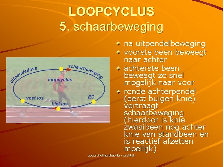 LOOPCYCLUS 5. schaarbeweging na uitpendelbeweging voorste been beweegt naar achterste been beweegt zo snel