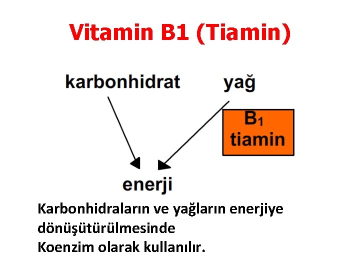 Vitamin B 1 (Tiamin) Karbonhidraların ve yağların enerjiye dönüşütürülmesinde Koenzim olarak kullanılır. 
