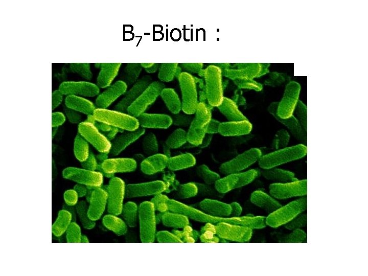 B 7 -Biotin : 