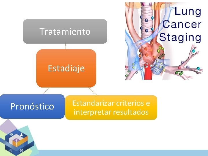 Tratamiento Estadiaje Pronóstico Estandarizar criterios e interpretar resultados 