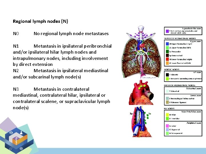Regional lymph nodes (N) N 0 No regional lymph node metastases N 1 Metastasis