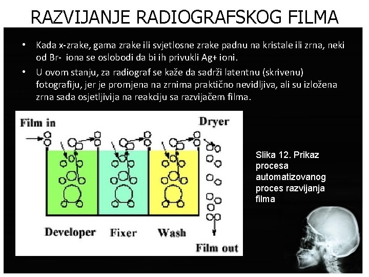 RAZVIJANJE RADIOGRAFSKOG FILMA • Kada x-zrake, gama zrake ili svjetlosne zrake padnu na kristale