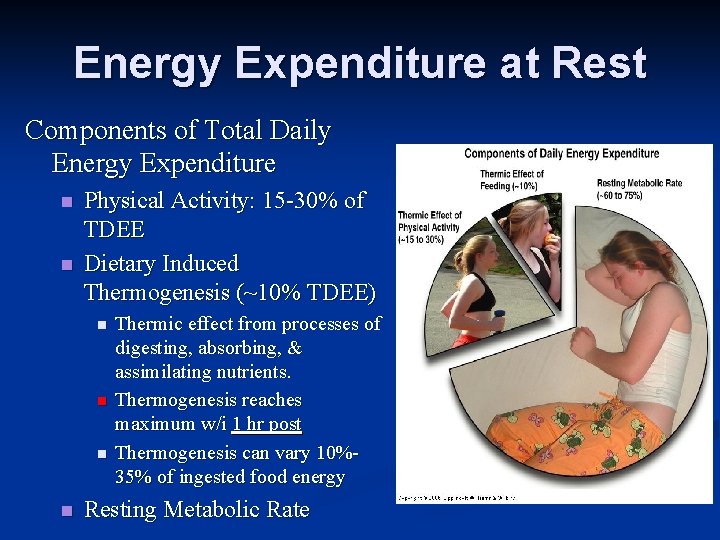 Energy Expenditure at Rest Components of Total Daily Energy Expenditure n n Physical Activity: