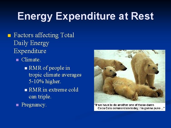 Energy Expenditure at Rest n Factors affecting Total Daily Energy Expenditure n n Climate.