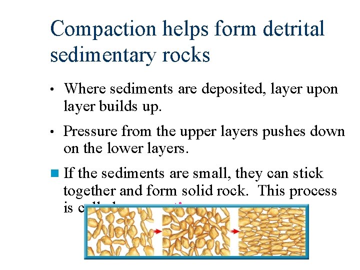 Compaction helps form detrital sedimentary rocks • Where sediments are deposited, layer upon layer