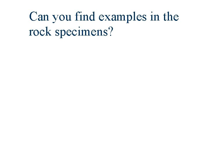 Can you find examples in the rock specimens? 