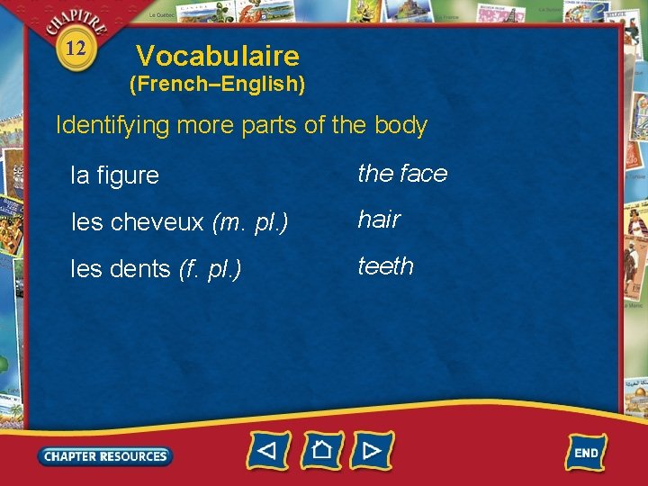 12 Vocabulaire (French–English) Identifying more parts of the body la figure the face les