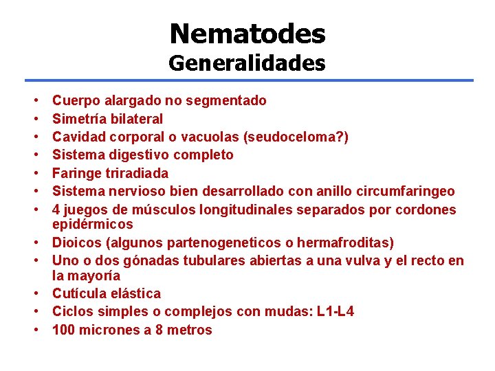 Nematodes Generalidades • • • Cuerpo alargado no segmentado Simetría bilateral Cavidad corporal o