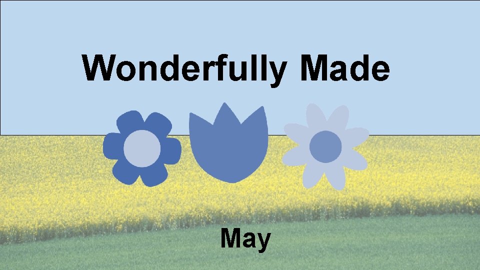 Wonderfully Made May 